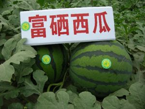 u=2212862737,3077995000&fm=26&gp=0.jpg u=2212862737,3077995000&fm=26&gp=0.jpg